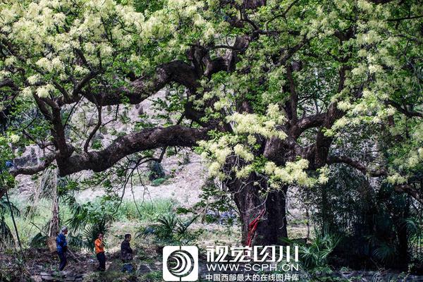 越南与印尼在南海爆发冲突：舰船对撞、持枪叫骂还竖中指