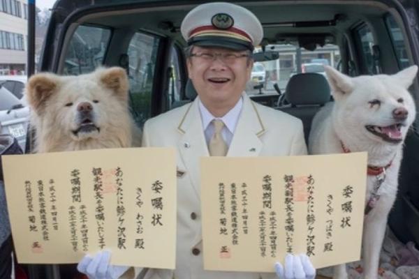 合肥土地市场“狂奔” 70多家企业抢一地_挂机宝代理