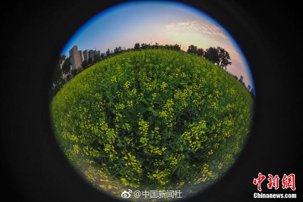 北京已建50余家跨境电商体验店，今年再增10家_挂机宝缓存