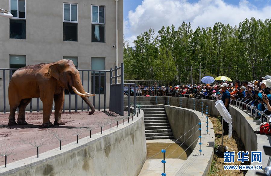 如何看突如其来的六连阴_共享云服务器