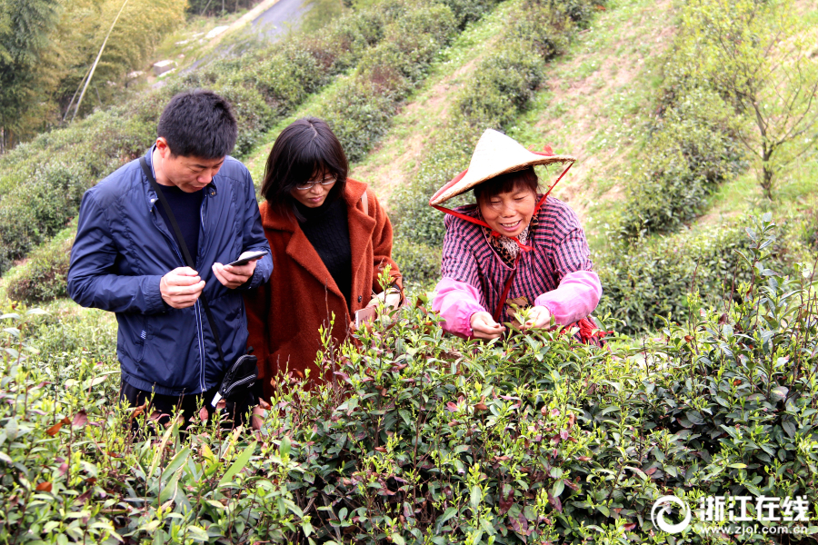 中国大学综合实力100强_CN2服务器月付