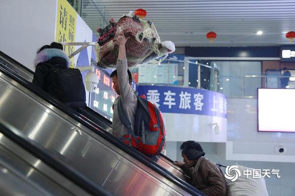 不拴绳宠物狗追咬男童 狗主：未出声没注意_天翼云翼龙