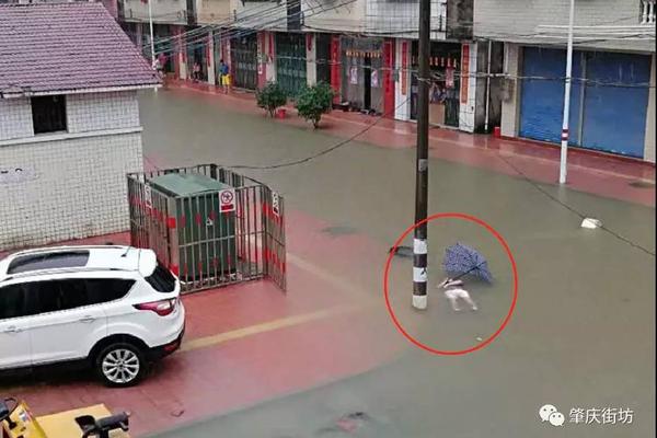 五年赌约终于落幕!董明珠赢了雷军,能赢下未来吗?