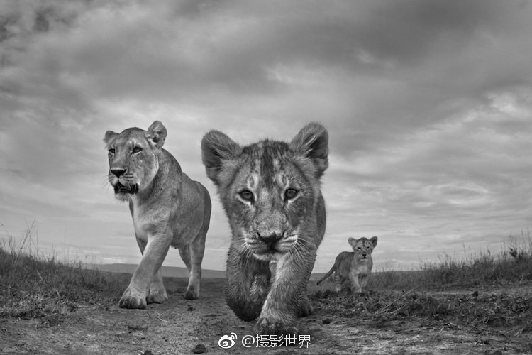 易宪容:三线城市房价如何走