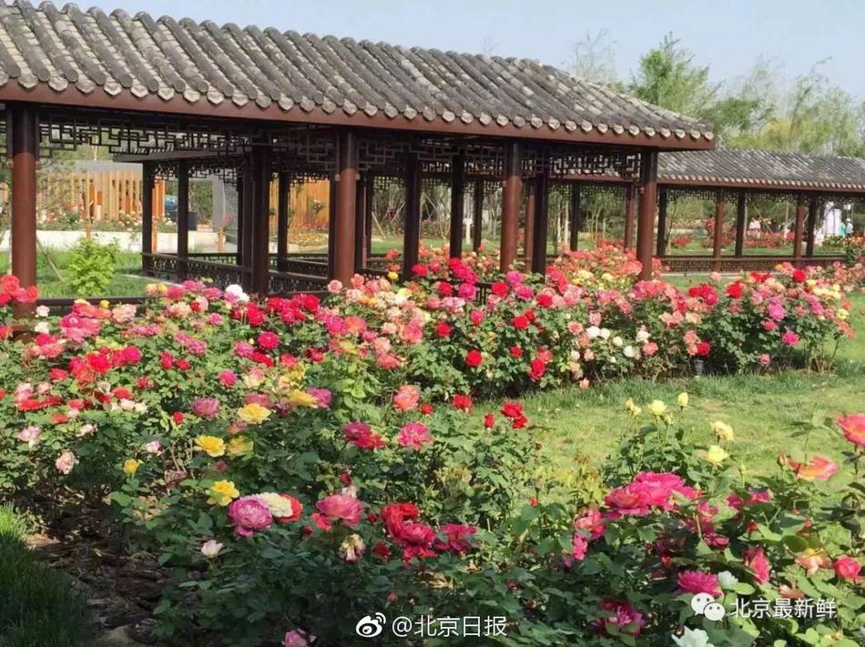 "昶洧"你会读吗?造电动车了_云电脑并发