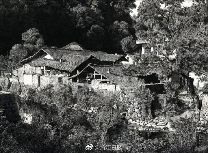 天津市最大民企“二代”正式接班：张君..._云服务器购买