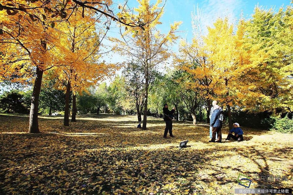 神秘女作家收入超马化腾_9929评测
