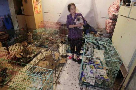 韩首次开放非军事区道路:铁丝网挂"地雷"警示标志