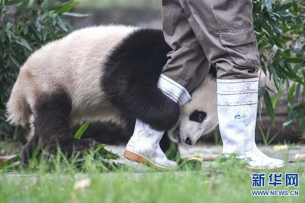 五一小长假 赴一场艺术之约_9929容器部署