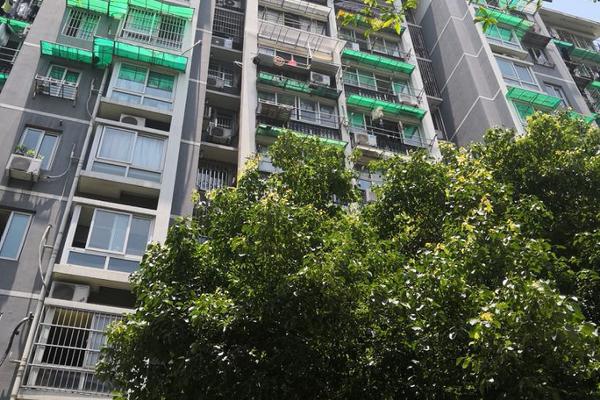 阿姆斯特丹运河被冰封_联通精品网A网