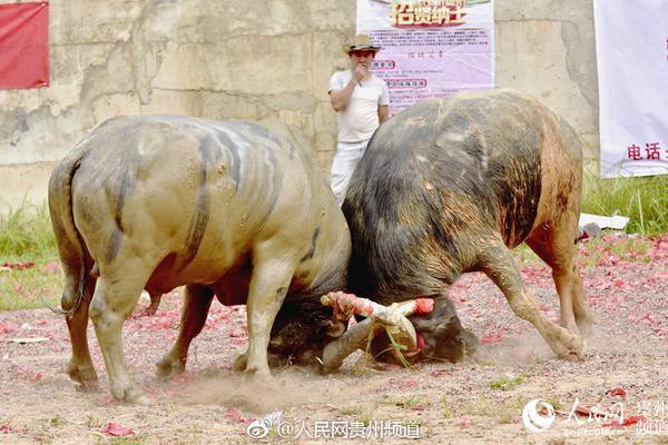中国舰队纵横东印度洋猛烈开火