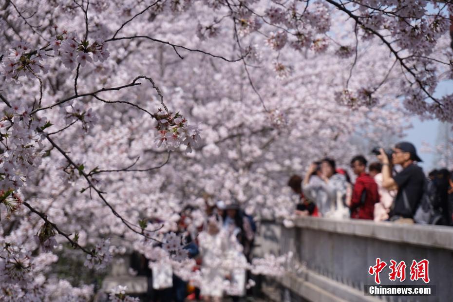 这样饮食堪称心血管"杀手"_云服务器监控