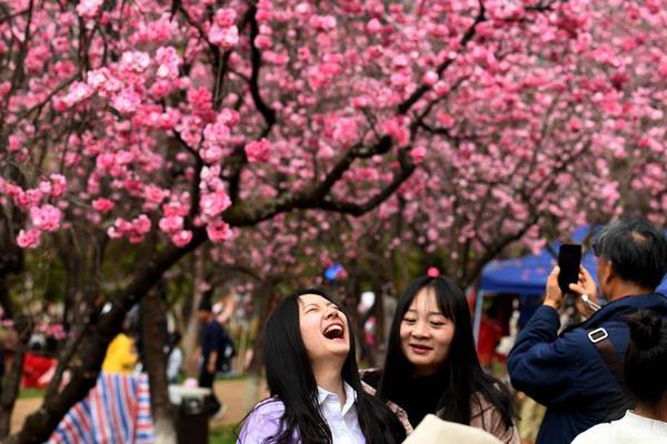 2019年中国北京世界园艺博览会开幕