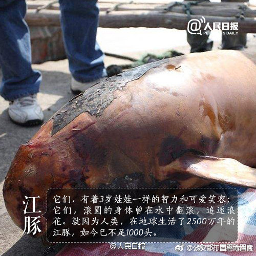 无剧透！《复仇者联盟4》零点场纪实
