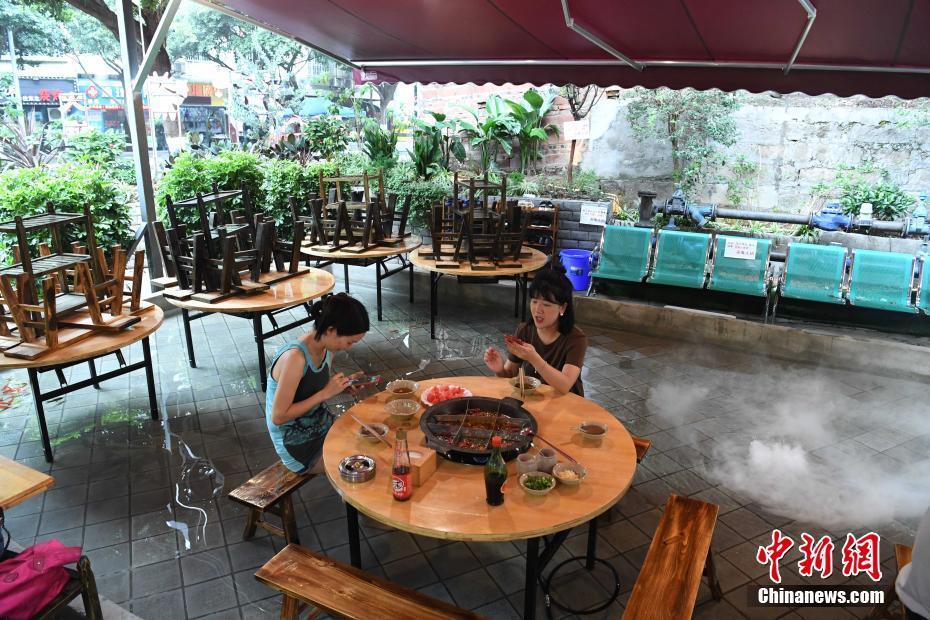 五一出游季带着宠物去旅行 羡慕动物界那些旅游达人_云服务器50M带宽
