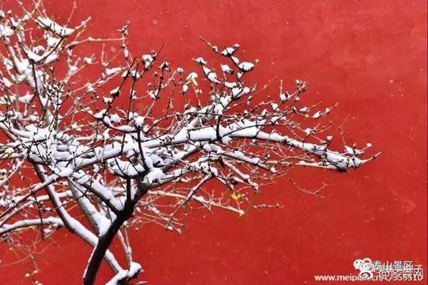高校师生研发眼球控制轮椅_挂机宝月付