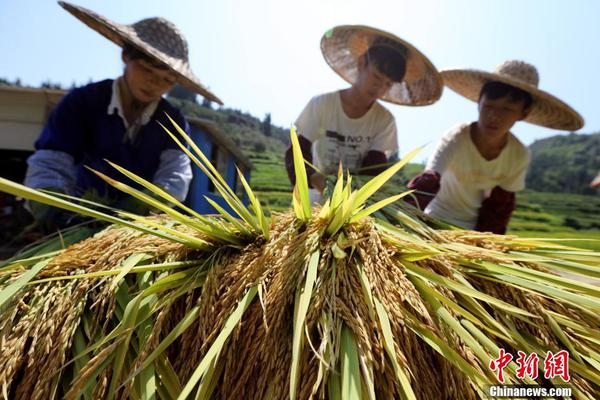 连媒:一方战国安彻头彻尾失利_沈阳云服务器