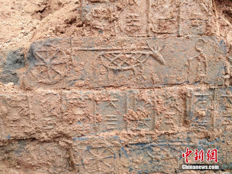 当妈or想当妈？袁立晒怀抱宝宝照片引猜测_云AI工作站