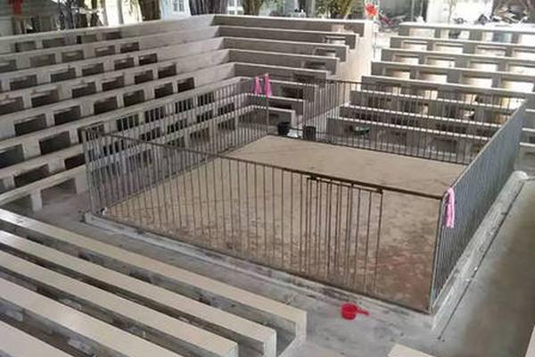 深圳9岁男童遭3只大狗追撵,狗主人全程淡定_云电脑替代传统电脑