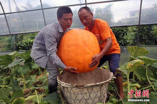 亚马逊中国清仓大促，PC、移动端、微信小程序全线崩溃