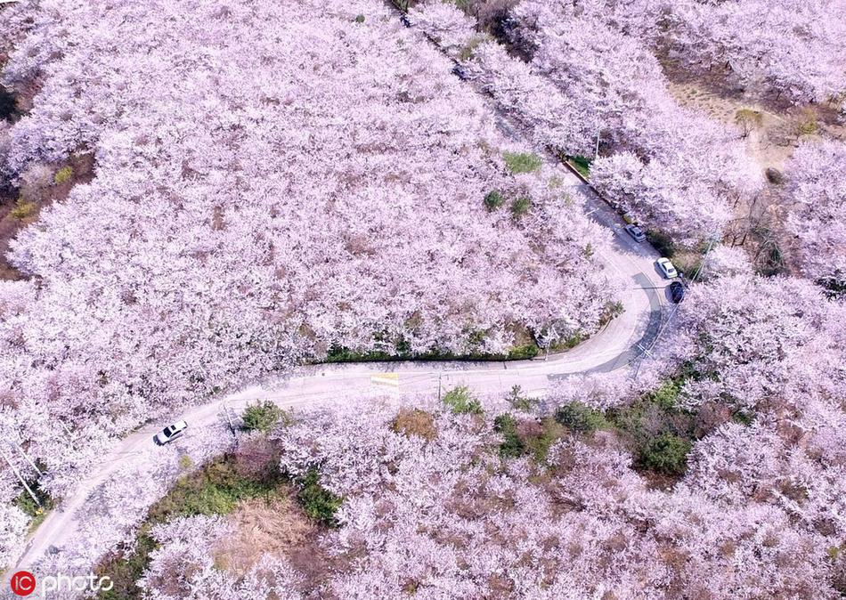 美国断腿伤兵获外卡角逐威巡赛_重庆云服务器
