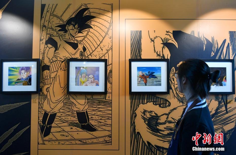 志愿怎么报？专家教你一招致胜_通用型云服务器