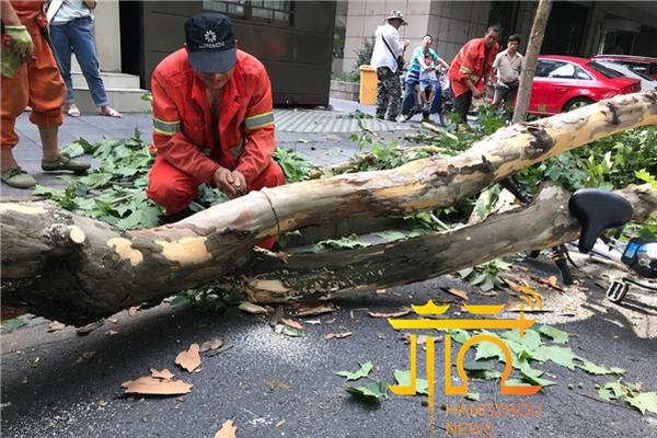 教科书式自救 女子取钱遭抢劫全程沉着说好的