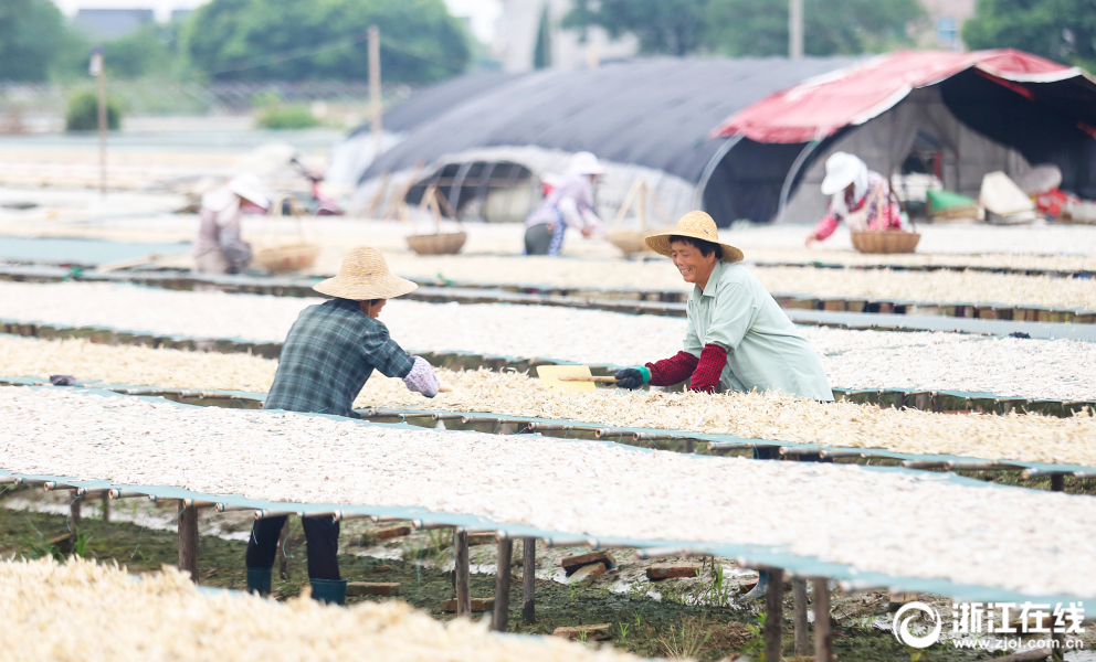 定位低于元EV/续航305公里 比亚迪S2下线_9929远程开发