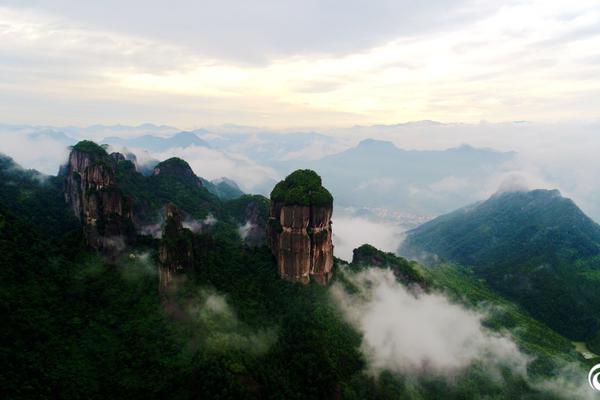 科比谈魔术师辞职!被问能否出山_挂机宝免费试用