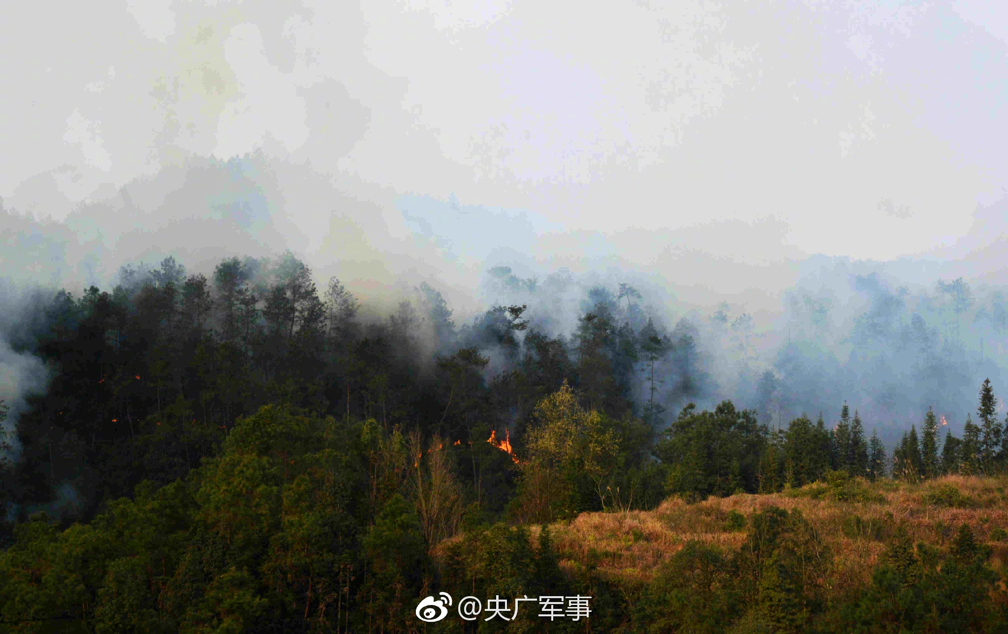 海南假宫颈癌疫苗后续:涉事医院主要负责人已被停职_云电脑数据存储