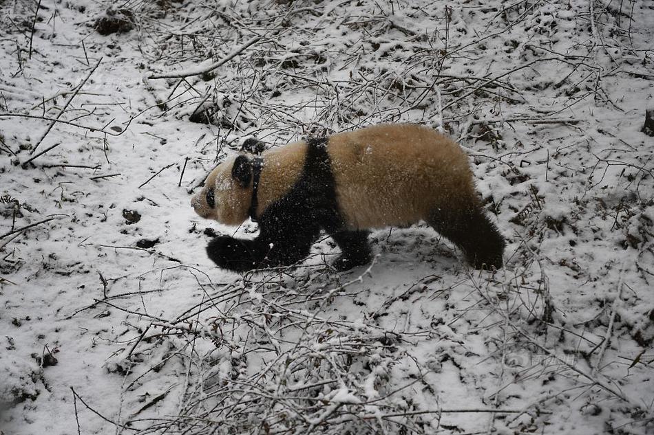 机器人进入手术室，悬壶济世的时代来临?_挂机宝代理分销