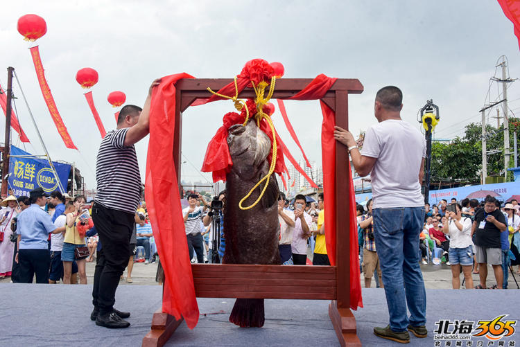巴西男模走秀踩鞋带摔倒身亡 观众误以为表演(图)