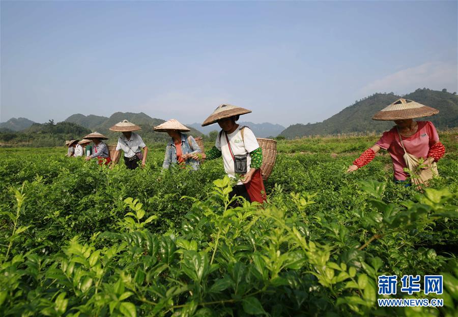 快讯 | 国家卫健委：我国儿童青少年总体近视率达53.6%_云服务器云端硬盘