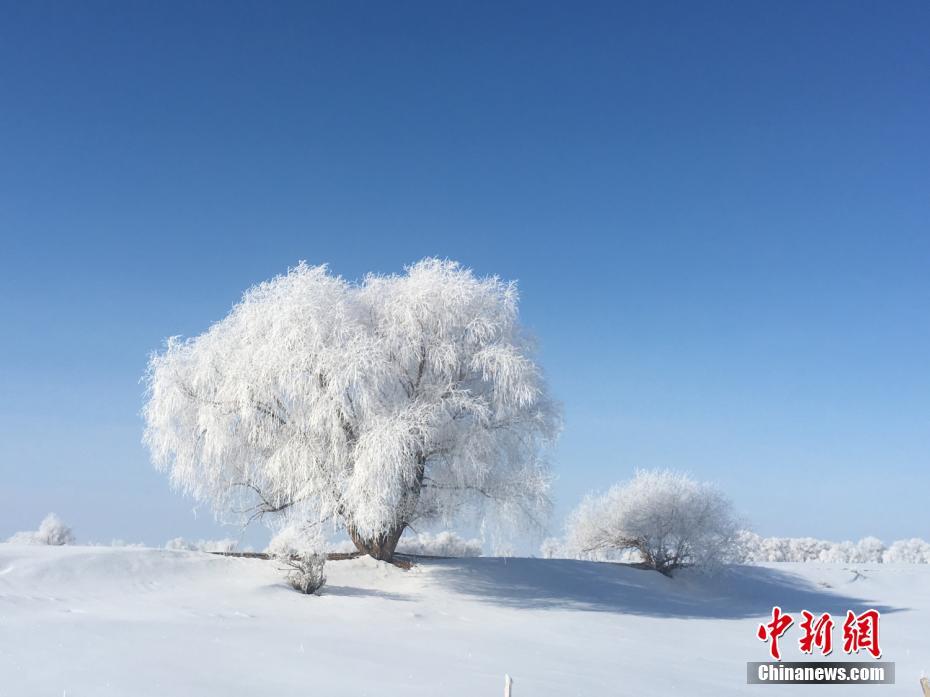 这一次,特朗普突然说感谢中国_云实验室