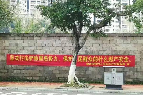 刘国梁痛批樊振东:别再捧杀 他还不具备冠军气质_挂机宝指纹浏览器