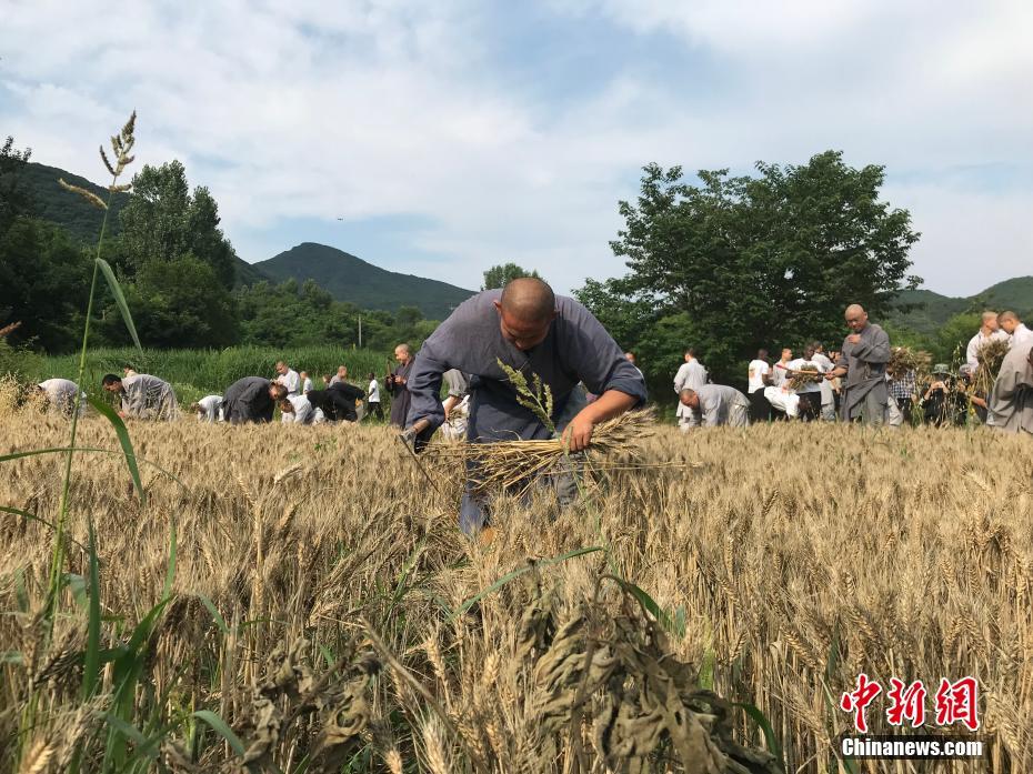 [路演]青青稞酒：在全国市场重点布局“小黑”产品_联通云服务器