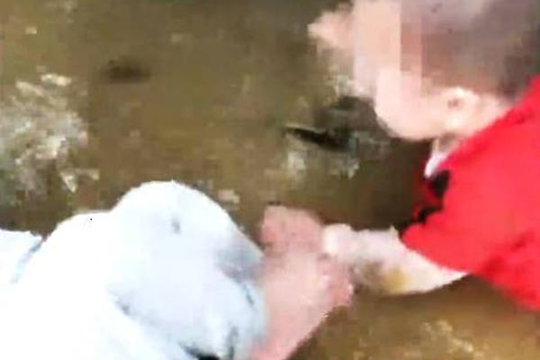 贾乃亮王源杨超越同逛公园 露半张脸比耶默契足_云电脑数据恢复