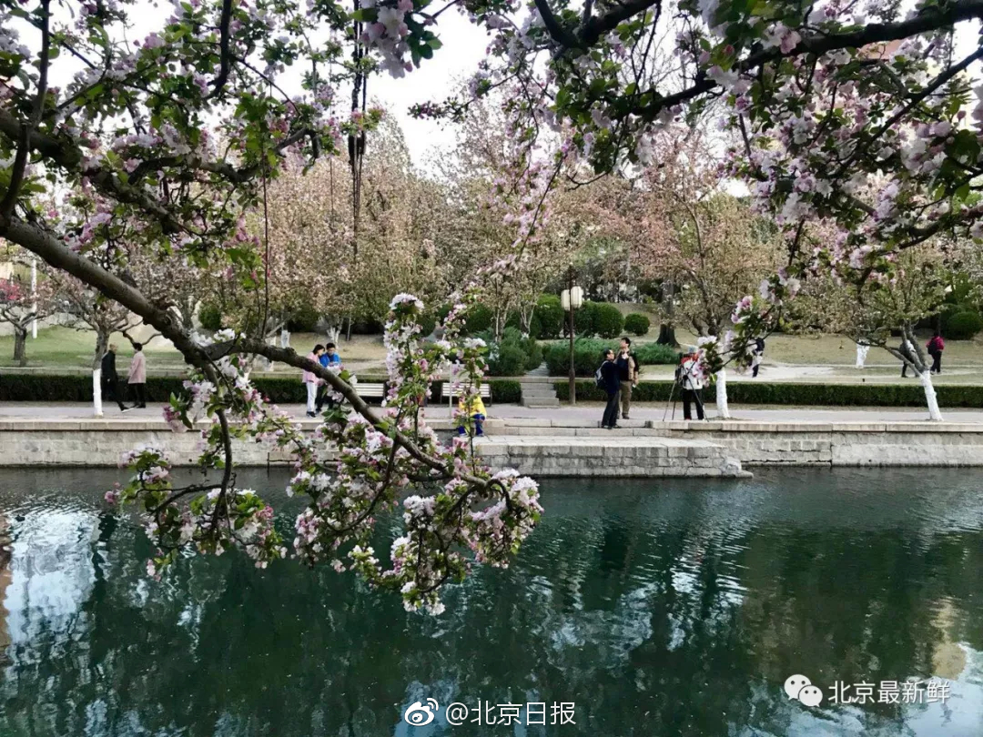 尖子生辍学打工养家 背后原因令人心疼!_青岛云服务器