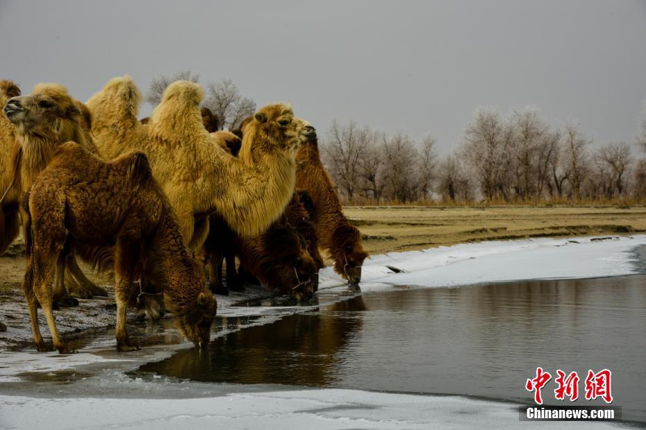 唐嫣江疏影都爱穿的“心跳裙” 有什么诱惑力？_9929测评
