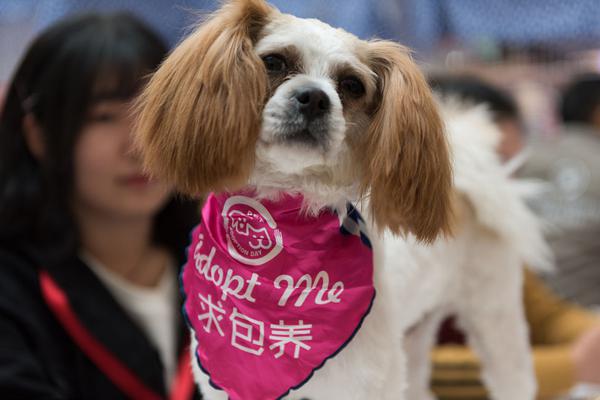 中俄海上军演这型舰艇参演引关注_云电脑程序员