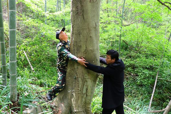 A队称霸CSGO一年世界排名_杭州云服务器