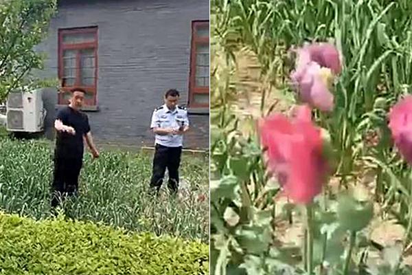 终于来了！央行将发行2019年版第五套人民币_挂机宝价格