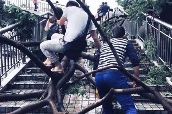 袁立晒“一家三口”合照疑似升级当妈?她只回复了3个字…