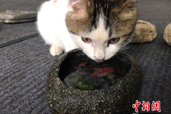 南京珍珠泉，地下泉水冒出似明珠_云电脑不限时