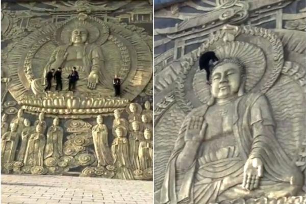 研究:猫能听懂自己名字 看来理不理你是另外一回事_突发性能实例