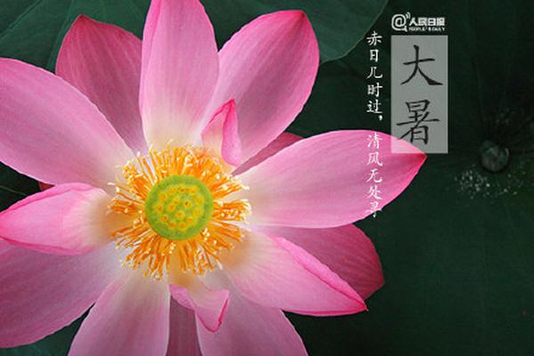 深击|共享住宿走进下半场:“做重”会是个好生意吗？_9929视频会议