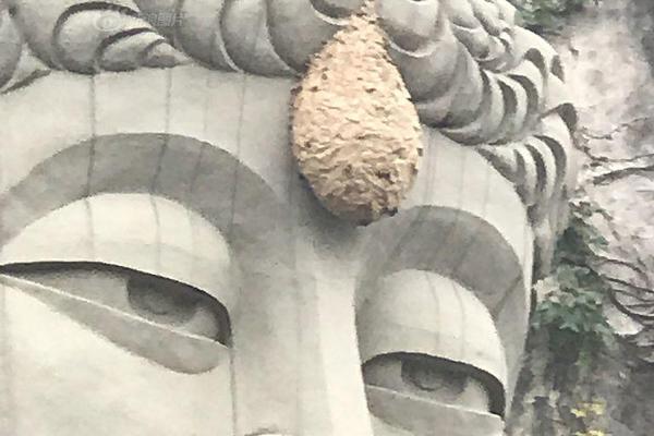 小两口,大路不走走小路,结果迷路了