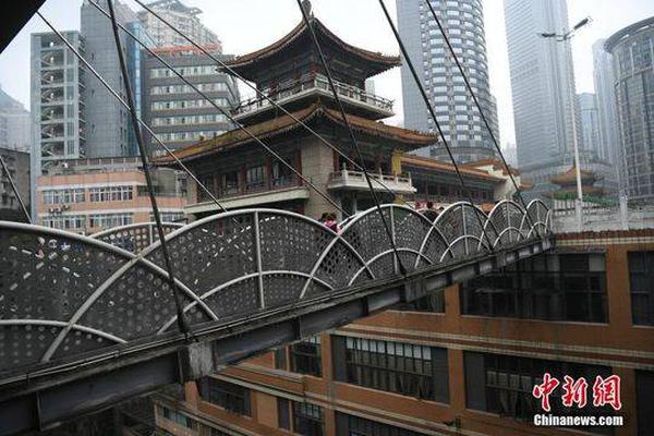 超期待 杨紫琼加盟《阿凡达》续集_挂机宝山东
