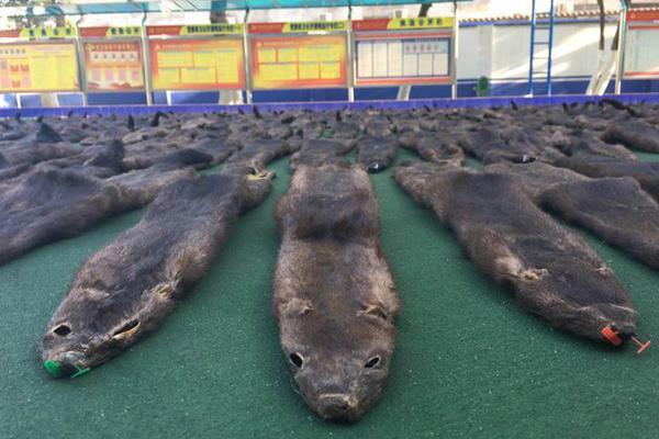 每周两次间歇训练 早逝或患心脏病风险降3%_云呼叫中心