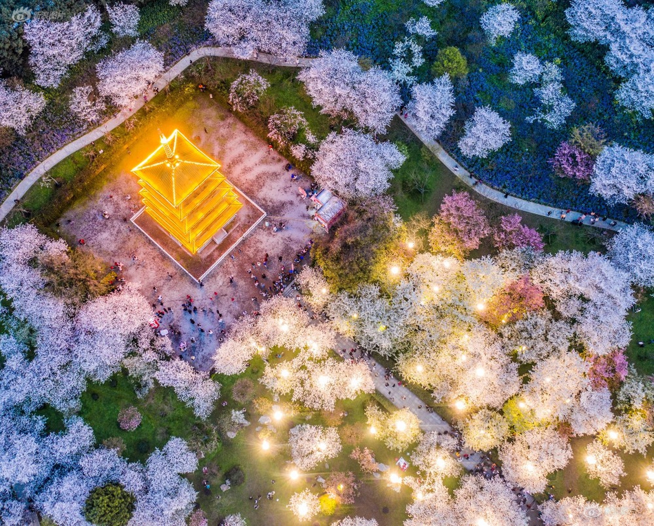 SSL安全证书多少钱_云服务器Windows Server